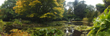 Pond with Trees in Autumn, Trewidden Garden, Penzance, Cornwall, England Photographic Print by Panoramic Images 