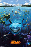 Finding Nemo Cast Prints