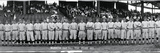 Washington Baseball Team 1913 Fotografie-Druck von Panoramic Images 