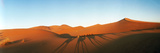 Shadows of Camel Riders in the Desert at Sunset, Sahara Desert, Morocco Fotografie-Druck von Panoramic Images 