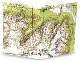 Explorer Mini Tyvek Mighty Wallet Wallet