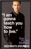 How I Met Your Mother Poster