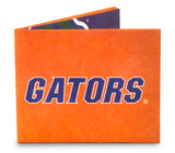 Florida Sport Tyvek Mighty Wallet Wallet