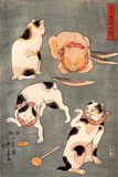 Four Cats in Different Poses Giclee Print by Kuniyoshi Utagawa