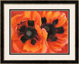 Papoulas Orientais, 1928 Pôsters por Georgia O'Keeffe Papoulas Orientais, 1928 Pôsters por Georgia O'Keeffe