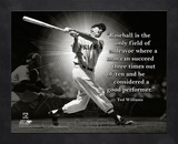 Ted Williams, Boston Red Sox, ProQuote Framed Memorabilia