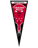 Chicago Bulls Pennant Framed Memorabilia