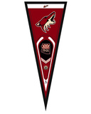 Phoenix Coyotes Pennant Framed Memorabilia
