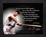Ted Williams ProQuote Framed Memorabilia