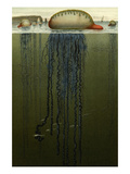Portuguese Man O' War Print by F.W. Kuhnert