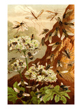 Bees Posters by F.W. Kuhnert