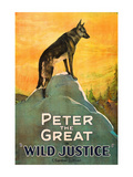 Wild Justice Affiches