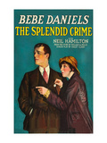 The Splendid Crime Poster