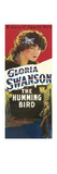 The Humming Bird Prints