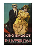 The Hawks Trail - House of Fear - Serial Posters