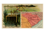 South Carolina Print by  Arbuckle Brothers