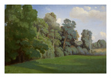 Study of Trees at Mortefontaine Affiches par Theodore Caruelle D' Aligny