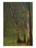 Forest at Pont Aubert Posters by Georges Seurat