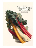 The Vegetable Garden Prints by Philippe-Victoire Leveque de Vilmorin