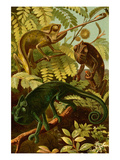 Chameleons Poster by F.W. Kuhnert