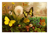 Butterflies Print by F.W. Kuhnert