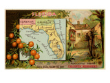 Florida Posters by  Arbuckle Brothers