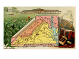 Virginia Prints by  Arbuckle Brothers