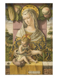 Madonna and Child Prints by Carlo Crivelli