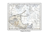 Pegasus the Horse Prints by Alexander Jamieson