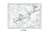 Leo Minor Print by Alexander Jamieson