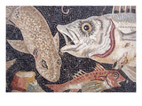 Fish Mosaic Prints