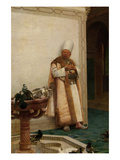 Grand White Eunuch Watching Doves Affiche par Jean Georges Vibert