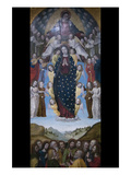 Assumption of the Virgin Photo by  Bergognone
