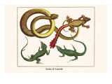 Snake and Lizards Posters by Albertus Seba