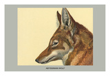 Abyssinian Wolf Posters by Louis Agassiz Fuertes