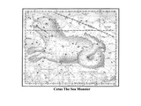 Cetus the Sea Monster Posters by Alexander Jamieson