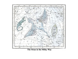 The Swan in the Milkyway Posters by Alexander Jamieson