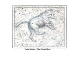 Ursa Major - the Great Bear Posters by Alexander Jamieson