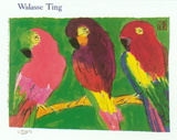3 Parrots Posters by Walasse Ting