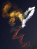 Space Shuttle Photographic Print by Chris O'Meara