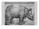 Rhinoceros Photo by Albrecht Durer
