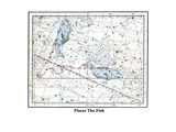 Pisces the Fish Prints by Alexander Jamieson