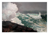 Northeaster Photo by Winslow Homer