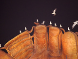 APTOPIX Nationals Giants Baseball Photographic Print by Marcio Jose Sanchez