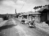 Korean War Photographic Print by Jim Pringle