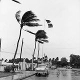 Hurricanes 1960 Photographic Print by Harold Valentine
