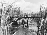 Vietnam War South Vietnamese Army Photographic Print by Horst Faas