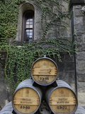 Travel Trip Ghost Wineries Photographic Print by Eric Risberg