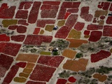 APTOPIX Pakistan Floods Photographic Print by Shakil Adil