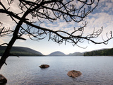 Parks Acadia Photographic Print by Robert F. Bukaty